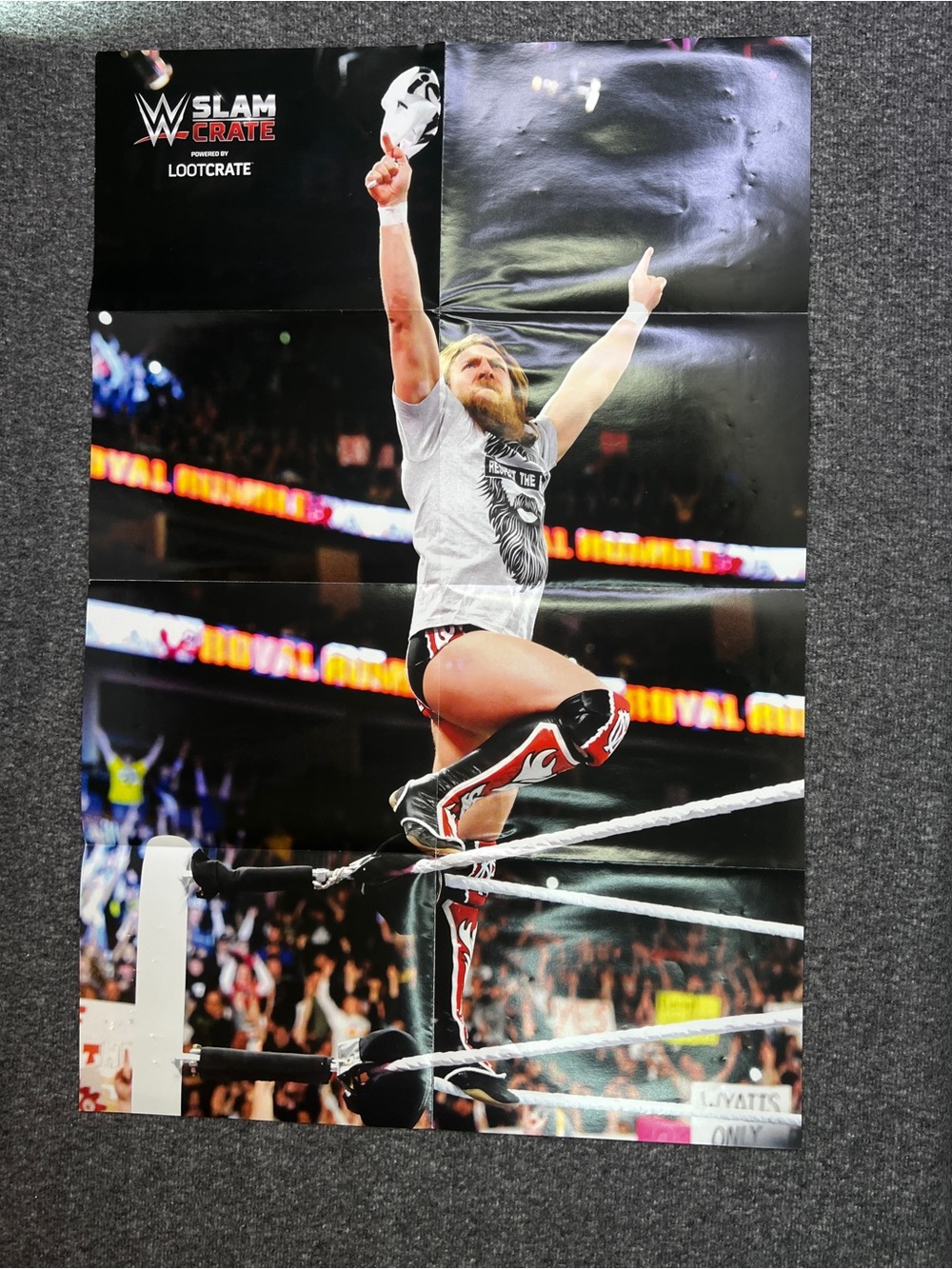 WWE - Loot Crate Daniel Bryan Poster 24 x 18